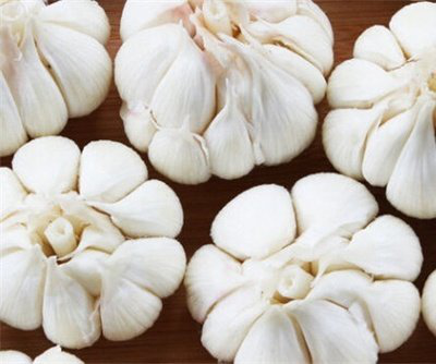 熟蒜能增强免疫力 AE6A2E23049612A6AB44898953A_30C6A75D_2E69D.png?e=.png