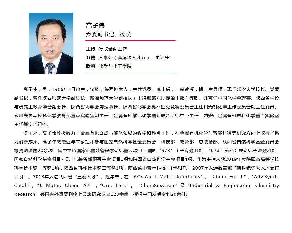 高子伟-延安大学