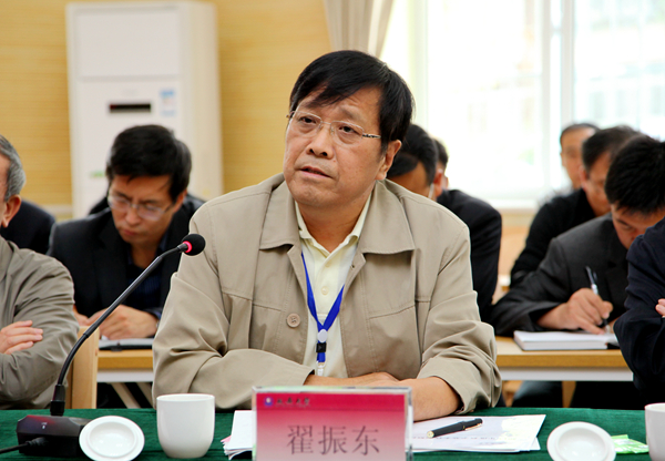 专家组专家翟振东教授发言