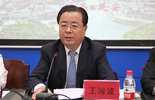 王海波副厅长讲话