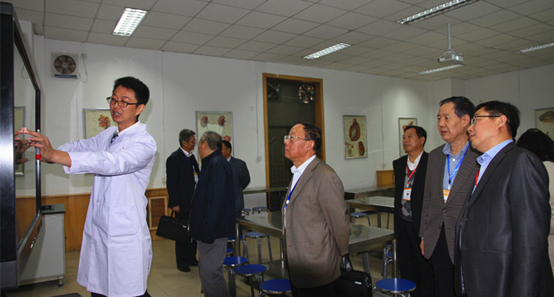 观看解剖数字人展示